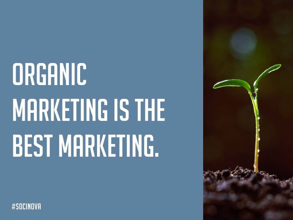 Organic Social Media Marketing Services for Small Businesses